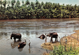 SRI LANKA KATUGASTOTA KANDY - Sri Lanka (Ceylon)