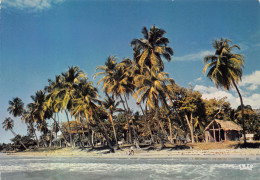 HAITI PLAGE - Haiti