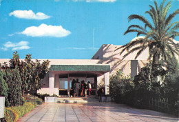TUNISIE NABEUL HOTEL RIADH - Tunisia
