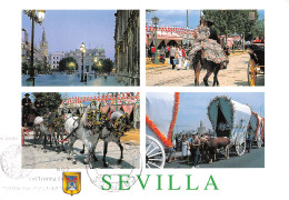 Espagne SEVILLA - Sevilla (Siviglia)
