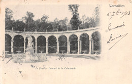 78-VERSAILLES LE PARC-N°5191-E/0221 - Versailles (Château)