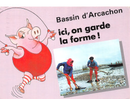 33-BASSIN D ARCACHON-N°C-4350-D/0041 - Autres & Non Classés