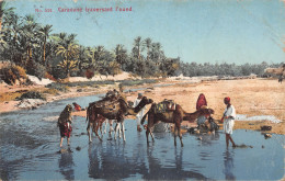 TUNISIE CARAVANE - Tunisie