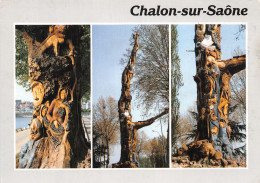 71-CHALON SUR SAONE-N°C-4350-C/0165 - Chalon Sur Saone