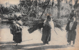 TUNISIE RAMASSEUSES DE BOIS - Tunisia