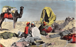 ALGERIE SCENES ET TYPES CAMPEMENT DE NOMADES - Scenes