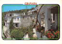 Espagne GRANADA PAMPANEIRA - Granada