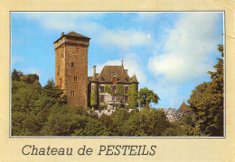 15-POLMINHAC LE CHATEAU DE PESTEILS-N°C-4351-B/0201 - Autres & Non Classés