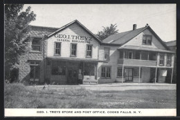 AK Cooks Falls, NY, Geo. I. Treyz Store And Post Office  - Altri & Non Classificati