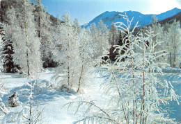 05-LES ALPES-N°C-4351-D/0175 - Autres & Non Classés