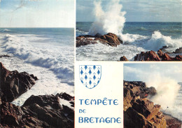 29-BRETAGNE TEMPETE-N°C-4351-D/0167 - Autres & Non Classés