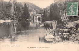 12 ESTAING LES BORDS DU LOT - Autres & Non Classés