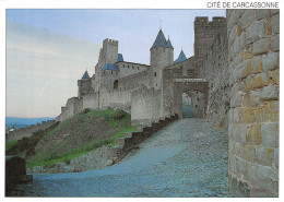 11-CARCASSONNE-N°C-4352-B/0237 - Carcassonne