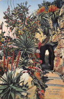 98 MONACO LES JARDINS EXOTIQUES - Exotic Garden