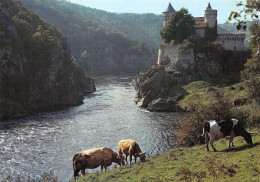 42-SAINT PRIEST LA ROCHE CHATEAU DE LA ROCHE-N°C-4352-D/0237 - Autres & Non Classés