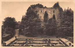 37 LANGEAIS LE CHÂTEAU - Langeais