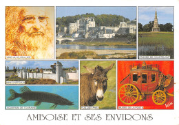 37-AMBOISE-N°C-4353-B/0121 - Amboise