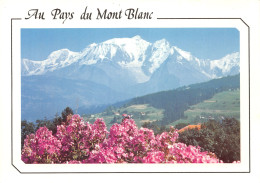 74-AU PAYS DU MONT BLANC-N°C-4353-A/0259 - Autres & Non Classés