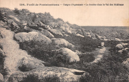 77-FONTAINEBLEAU-N°C-4352-E/0361 - Fontainebleau