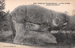 77-FONTAINEBLEAU-N°C-4352-E/0359 - Fontainebleau