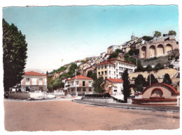 CONTES LES PINS   (carte Photo) - Contes