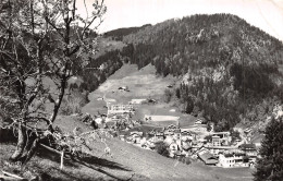 74 LA CLUSAZ LE PARC - La Clusaz