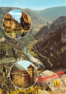 48-GORGES DU TARN-N°C-4354-A/0181 - Gorges Du Tarn