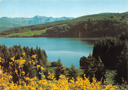 63-LAC DE GUERY-N°C-4354-A/0179 - Sonstige & Ohne Zuordnung