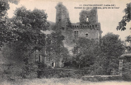 44-CHATEAUBRIANT-N°C-4353-E/0383 - Châteaubriant