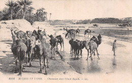 ALGERIE SCENES ET TYPES CHAMEAUX - Scènes & Types