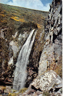 63 CASCADE DU MONT DORE - Otros & Sin Clasificación