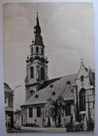 BELGIQUE - ANVERS - PUURS - Sint-Pieterskerk - Puurs