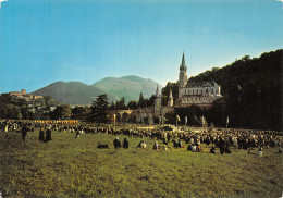 65-LOURDES-N°C-4354-D/0341 - Lourdes