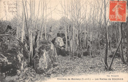 91 LES ROCHES DE BEAUVAIS ENVIRONS DE MENNECY - Andere & Zonder Classificatie