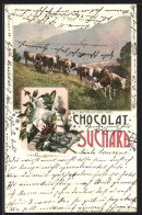 AK Chocolat Suchard, Kühe Auf Der Alp, Reklame Kakao  - Landwirtschaftl. Anbau