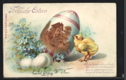 Kork-AK Osterküken Bestaunt Bemaltes Ei  - Easter