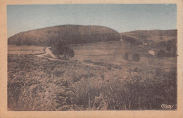 63 SAINT AMAND ROCHE SAVINE BOIS DES FOURCHES - Otros & Sin Clasificación