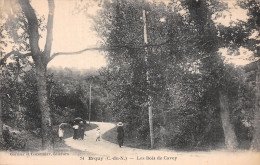 22 ERQUY LES BOIS DE CAVEY - Erquy