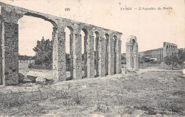 TUNISIE TUNIS L AQUEDUC DU BARDO - Tunisia