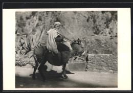 AK Arabischer Junge Auf Einem Esel  - Donkeys