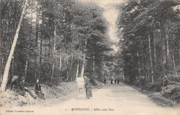 45 MONTARGIS ALLEE SOUS BOIS - Montargis