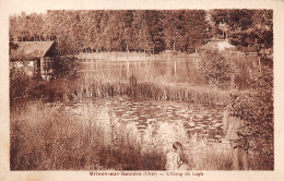 18 BRINON SUR SAULDRE L ETANG DU LOGIS - Sonstige & Ohne Zuordnung