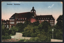 AK Flensburg, Blick Auf Das Gymnasium  - Flensburg