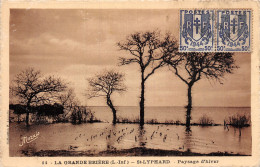 44 LA GRANDE BRIERE SAINT LYPHARD - Sonstige & Ohne Zuordnung