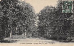 1 FORET DE SEILLON ENVIRONS DE BOURG - Unclassified