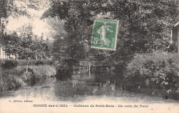 58 COSNE SUR L IL CHÂTEAU DE PETIT BOIS - Cosne Cours Sur Loire