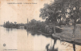 21 LAMARCHE SUR SOANE LA SAONE AUX TERREAUX - Autres & Non Classés