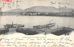 SUISSE GENEVE ET LE MONT SALEVE - Sonstige & Ohne Zuordnung