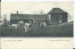 PAYS BAS - BROEK IN MEER - Boerderij - Sonstige & Ohne Zuordnung