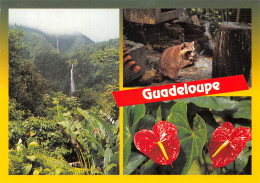 971-GUADELOUPE-N°C-4355-A/0015 - Andere & Zonder Classificatie
